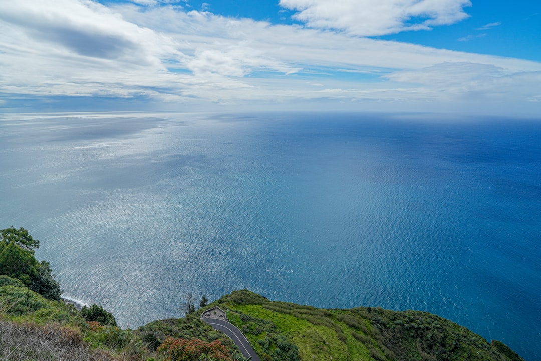 Route côtière de Madère bordée de falaises vertes et de nuages bas