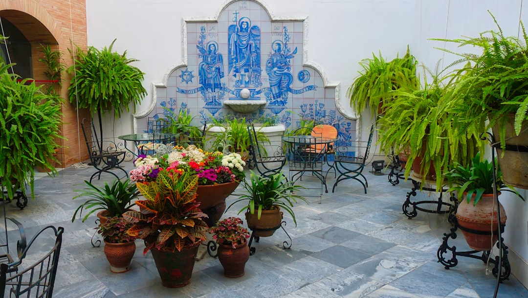 Patio andalou ombragé à Séville avec azulejos et plantes