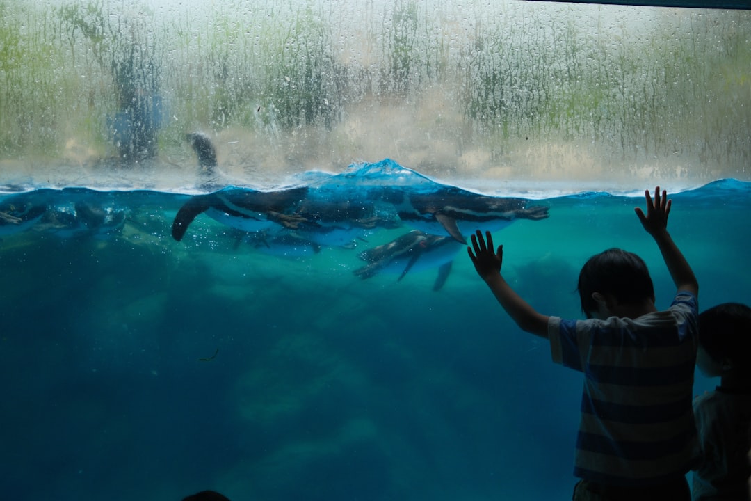 Enfants observant des animaux à travers une grande vitre lors d'une visite au zoo
